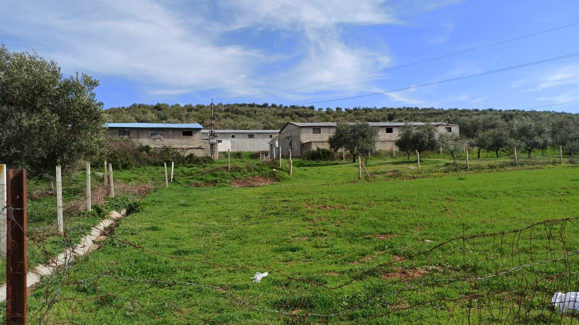 Pasuri e llojit  “Truall +Ndërtesë” , me sipërfaqe  trualli 1964 m2  dhe ndërtesë 980,6 m2, Gjirokastër (Ankandi i trete)
